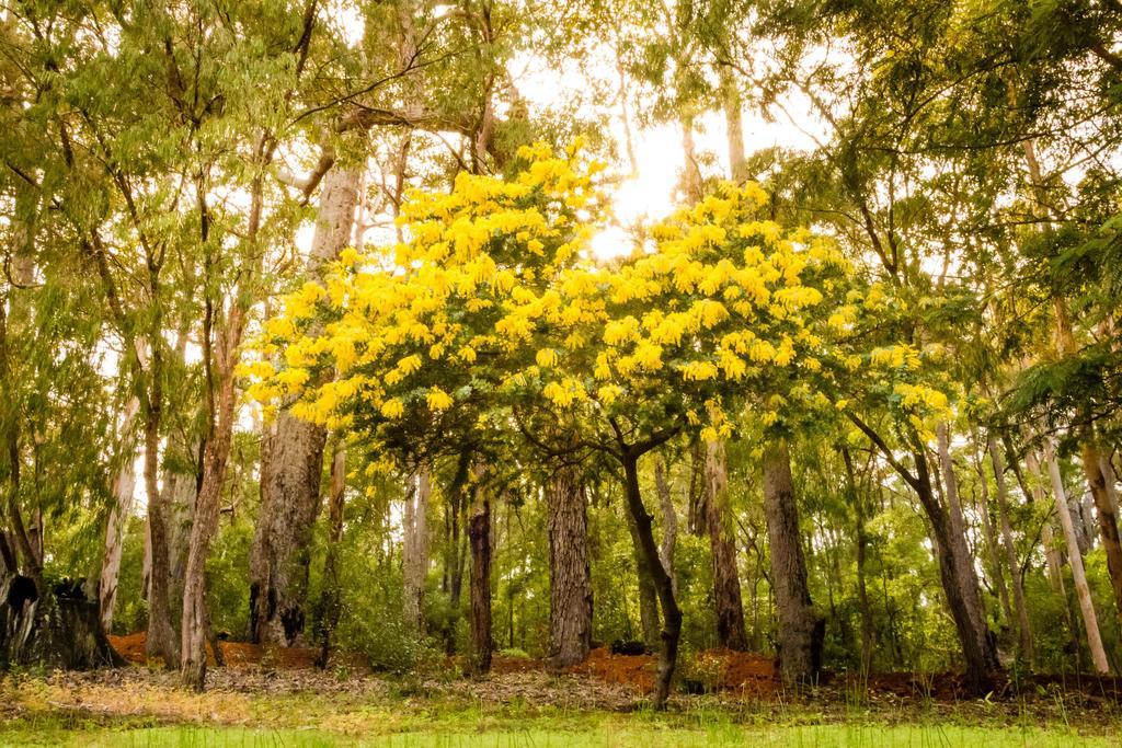 Riverglen Chalets Margaret River Exterior foto